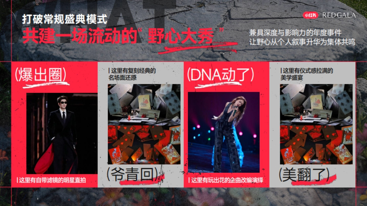 小红书S＋＋大事件REDGALA2026招商方案.pdf_第10页