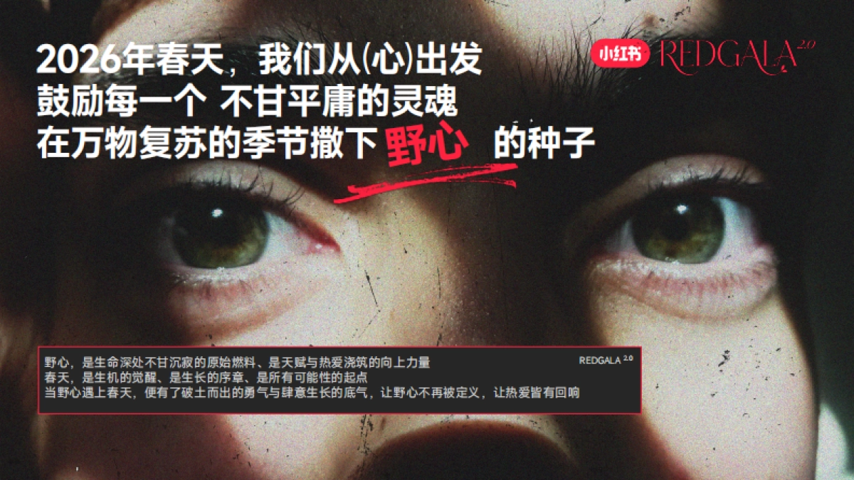 小红书S＋＋大事件REDGALA2026招商方案.pdf_第4页