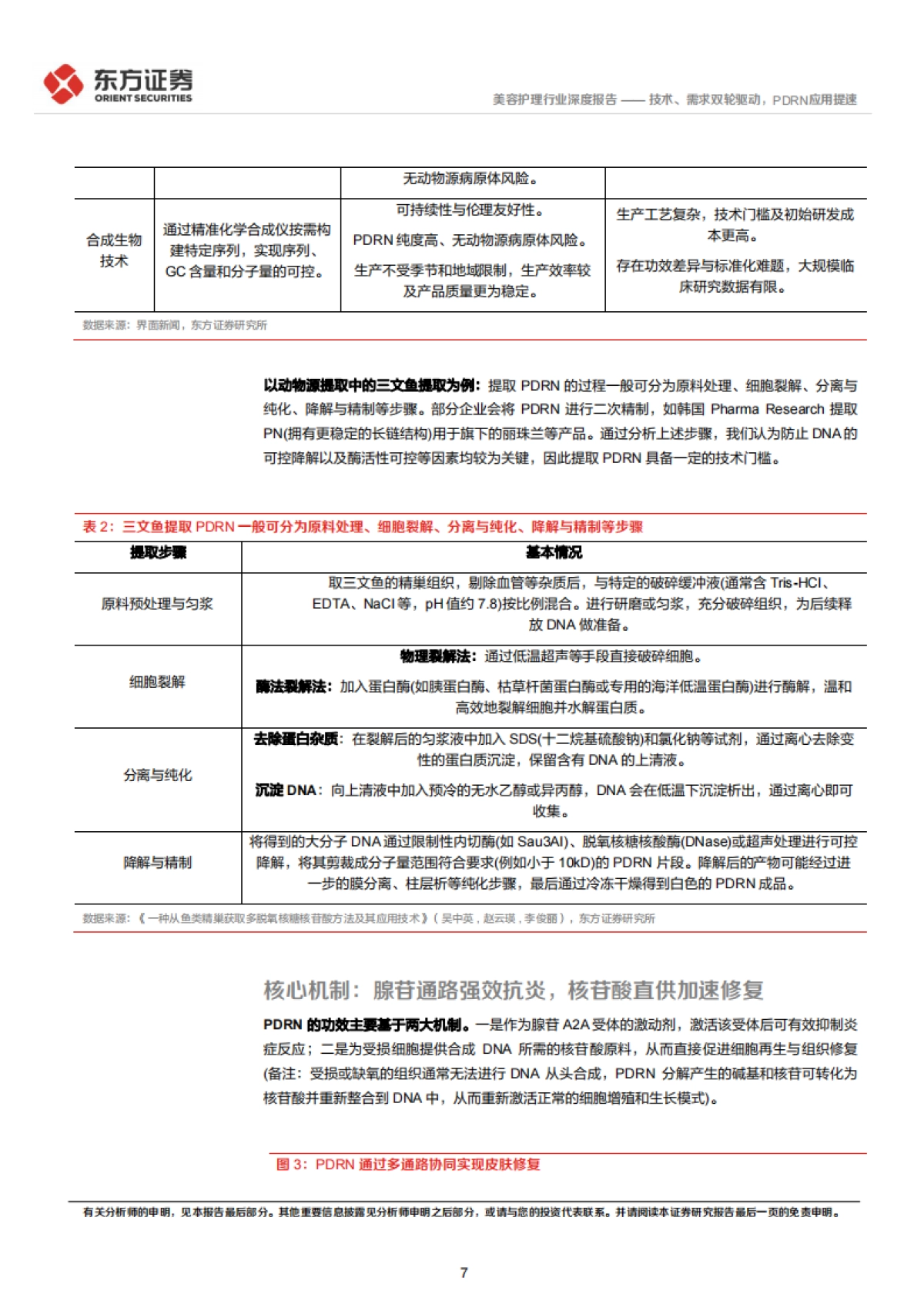 2025美容护理系列深度报告2——技术、需求双轮驱动，PDRN应用提速-东方证券.pdf_第7页