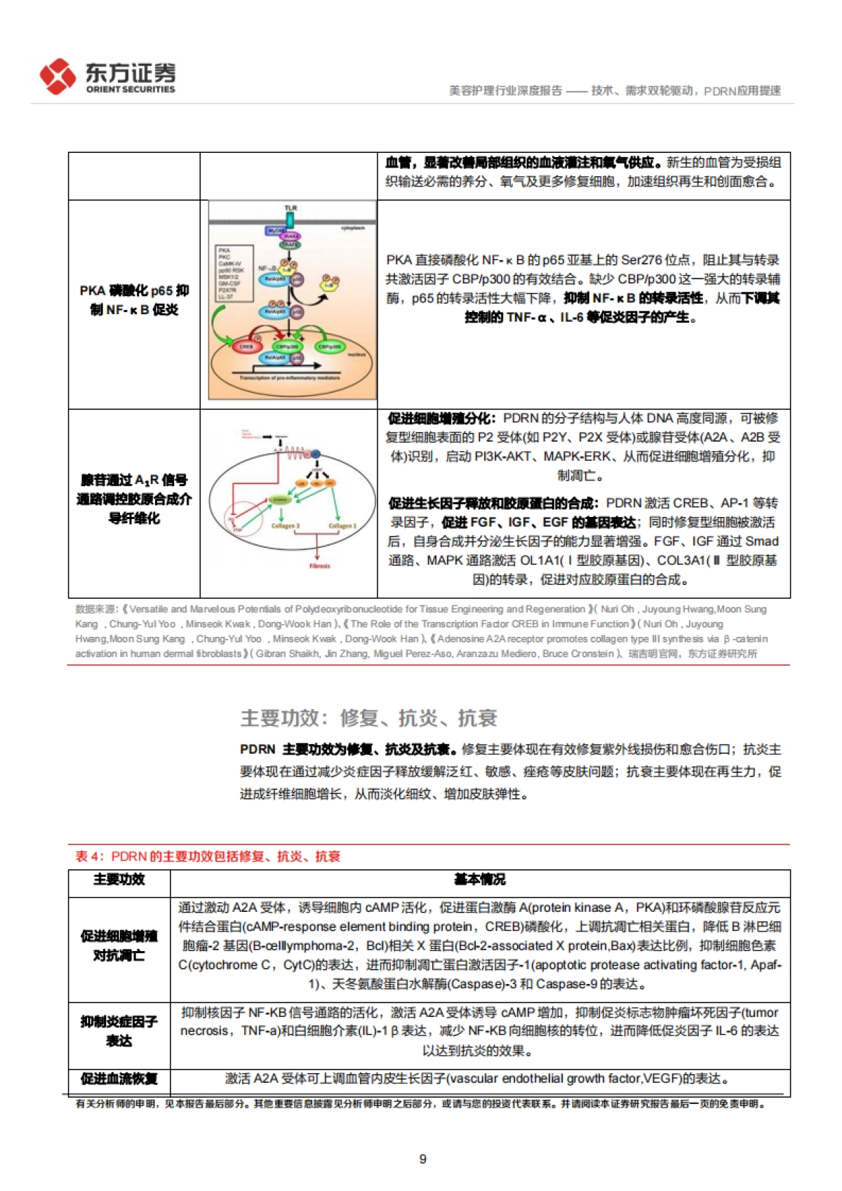 2025美容护理系列深度报告2——技术、需求双轮驱动，PDRN应用提速-东方证券.pdf_第9页