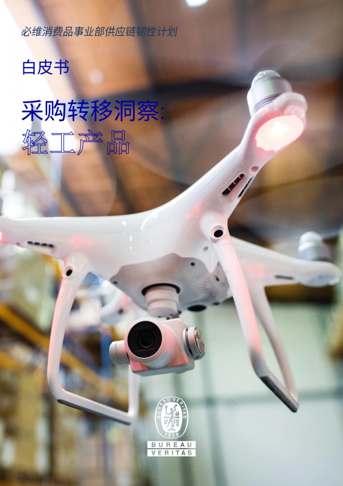 2025轻工产品供应链韧性报告-必维.pdf_第1页