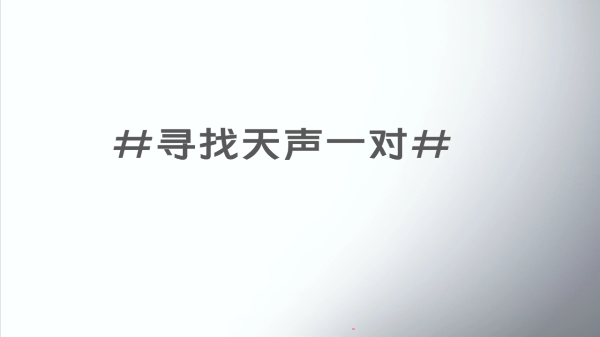 vivo 无线耳机上市推广.pptx_第10页