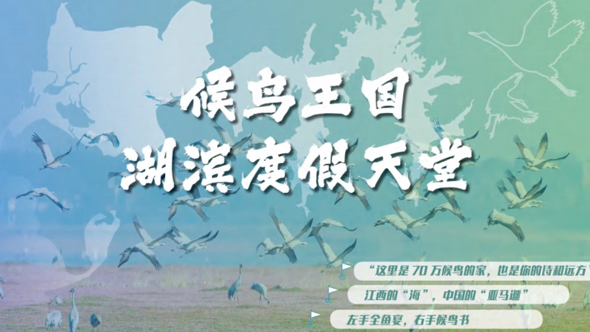 文旅景区鄱阳湖湿地公园湖泊旅游度假区提升改造规划方案.pdf_第2页