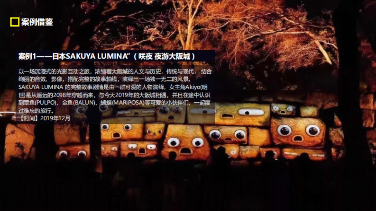 东安湖城市体育公园湖泊常态化森林夜游巴蜀奇妙夜规划方案.pdf_第5页