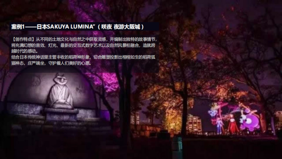 东安湖城市体育公园湖泊常态化森林夜游巴蜀奇妙夜规划方案.pdf_第6页