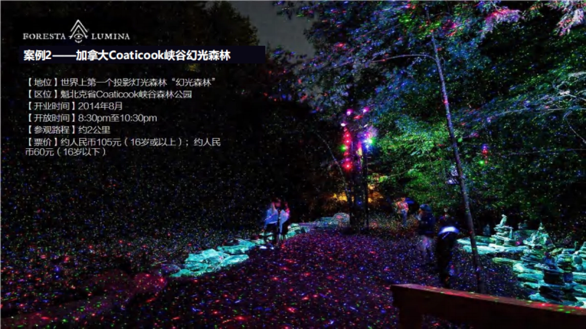 东安湖城市体育公园湖泊常态化森林夜游巴蜀奇妙夜规划方案.pdf_第7页