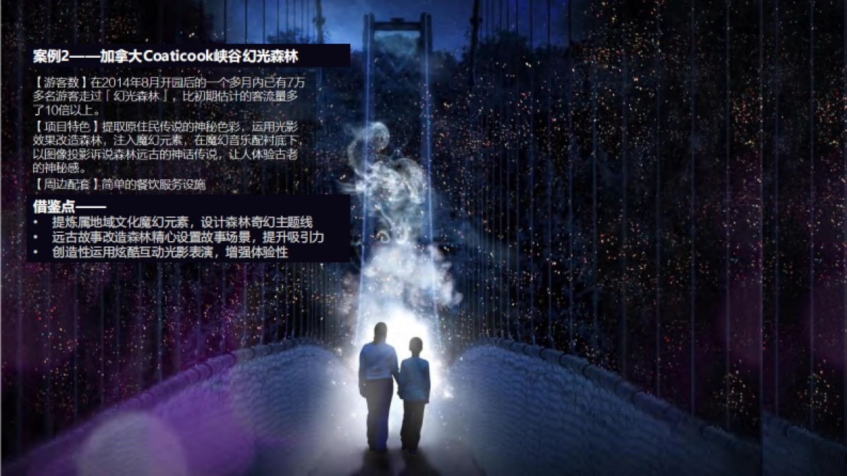 东安湖城市体育公园湖泊常态化森林夜游巴蜀奇妙夜规划方案.pdf_第9页