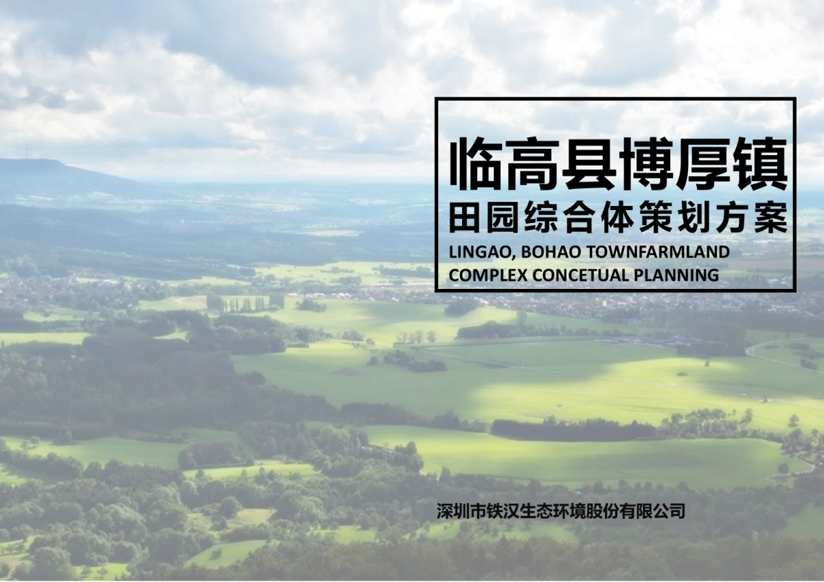 海南临高博厚镇田园综合体策划方案.pptx_第1页