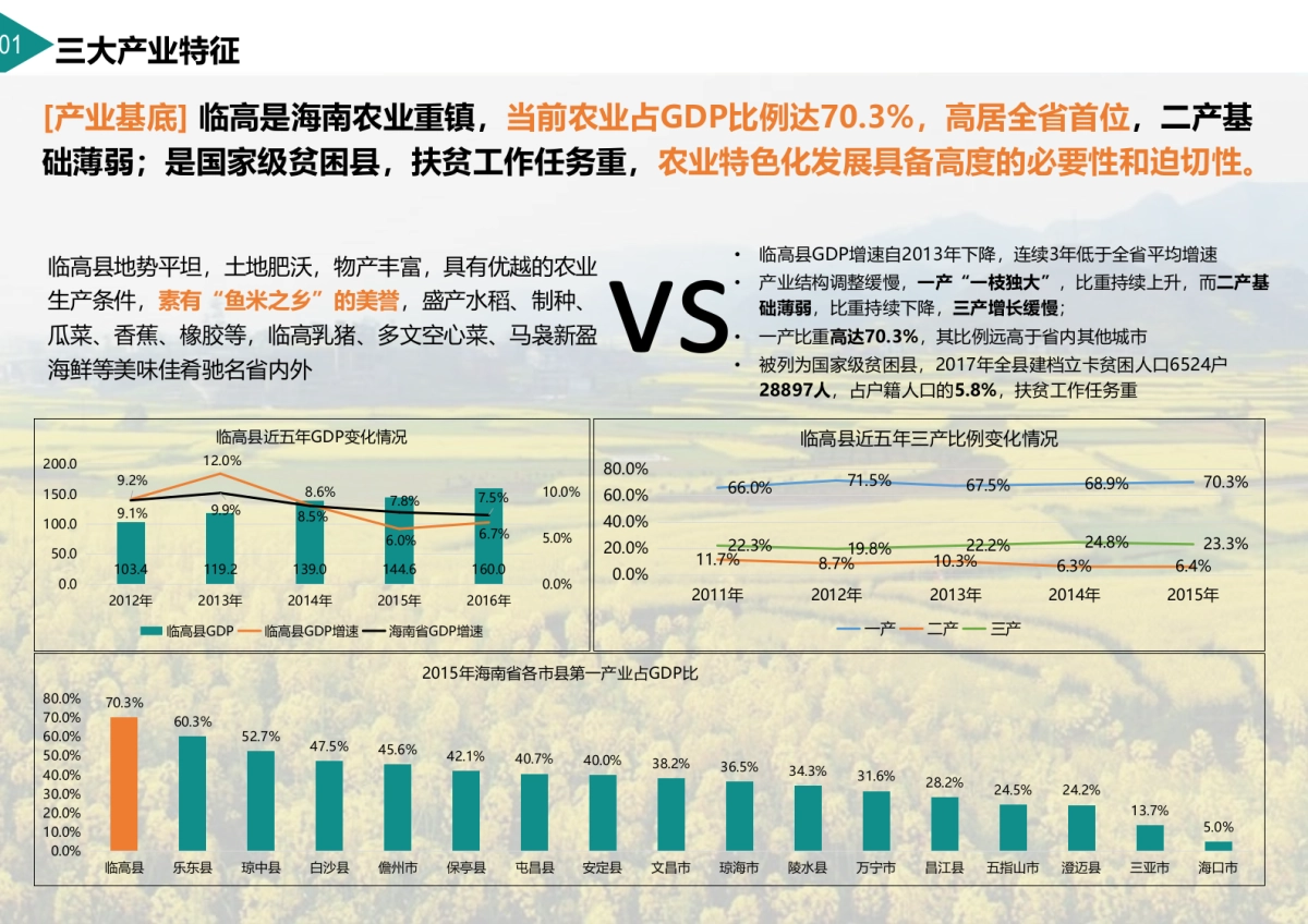 海南临高博厚镇田园综合体策划方案.pptx_第7页