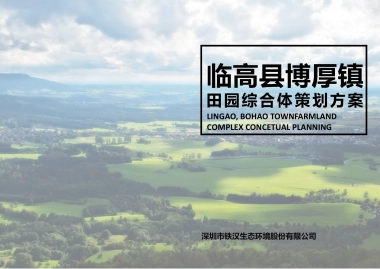 海南临高博厚镇田园综合体策划方案.pptx