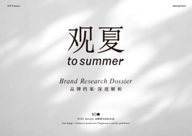观夏2.0品牌资料.pdf