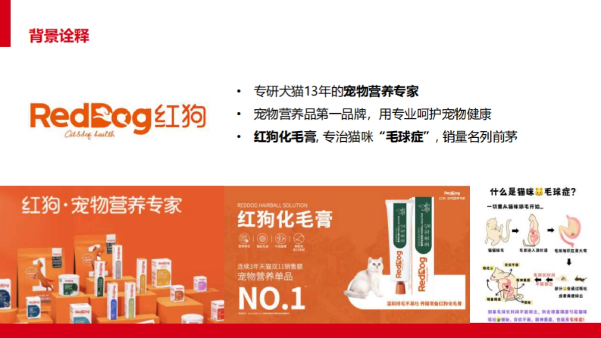 让毛孩子没“毛”病用母婴思维超车宠物赛道.pdf_第2页