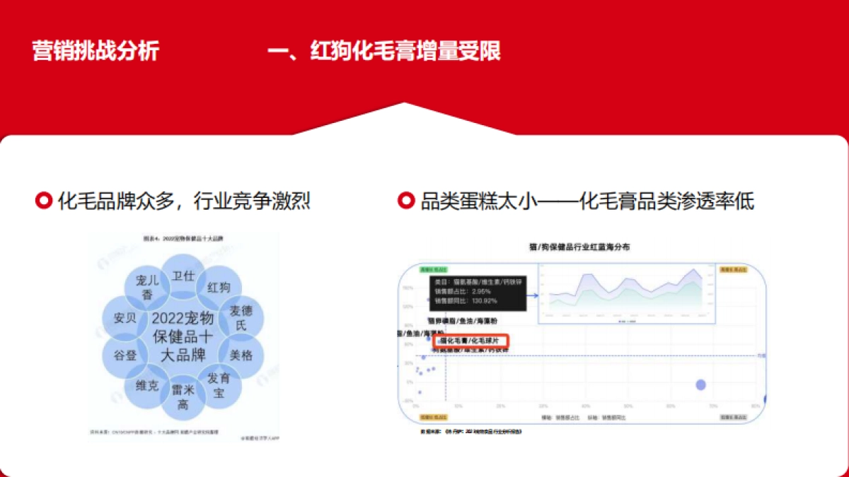 让毛孩子没“毛”病用母婴思维超车宠物赛道.pdf_第3页