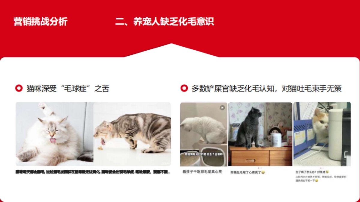 让毛孩子没“毛”病用母婴思维超车宠物赛道.pdf_第4页