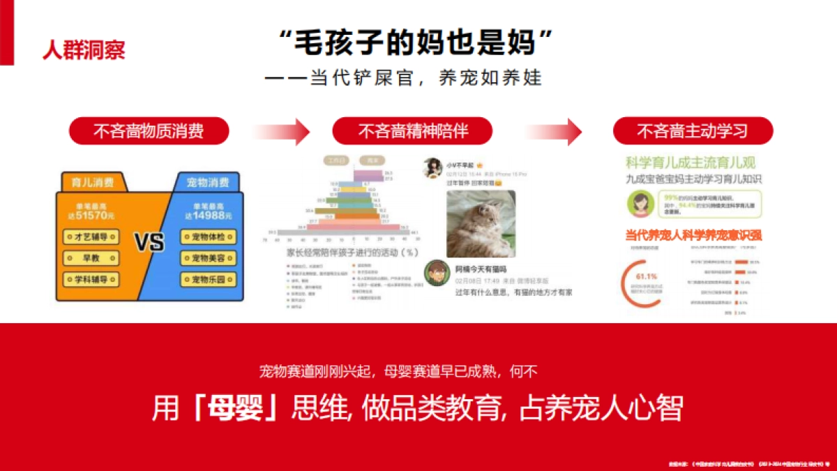 让毛孩子没“毛”病用母婴思维超车宠物赛道.pdf_第6页