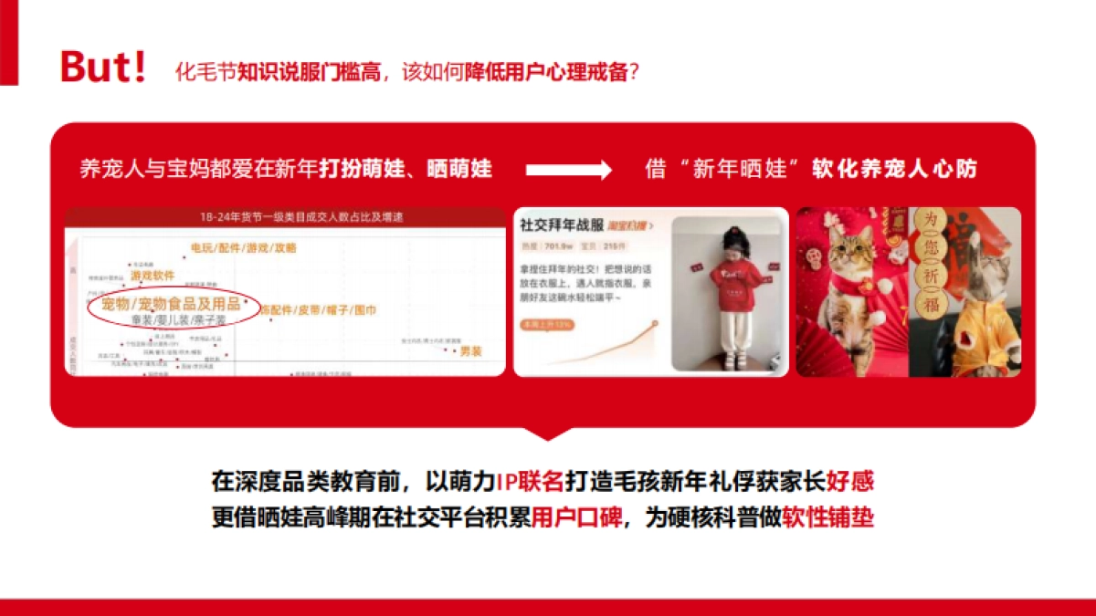 让毛孩子没“毛”病用母婴思维超车宠物赛道.pdf_第8页