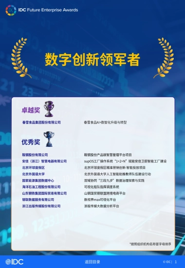 2025年IDC中国未来企业大奖获奖案例金典（二）-IDC.pdf