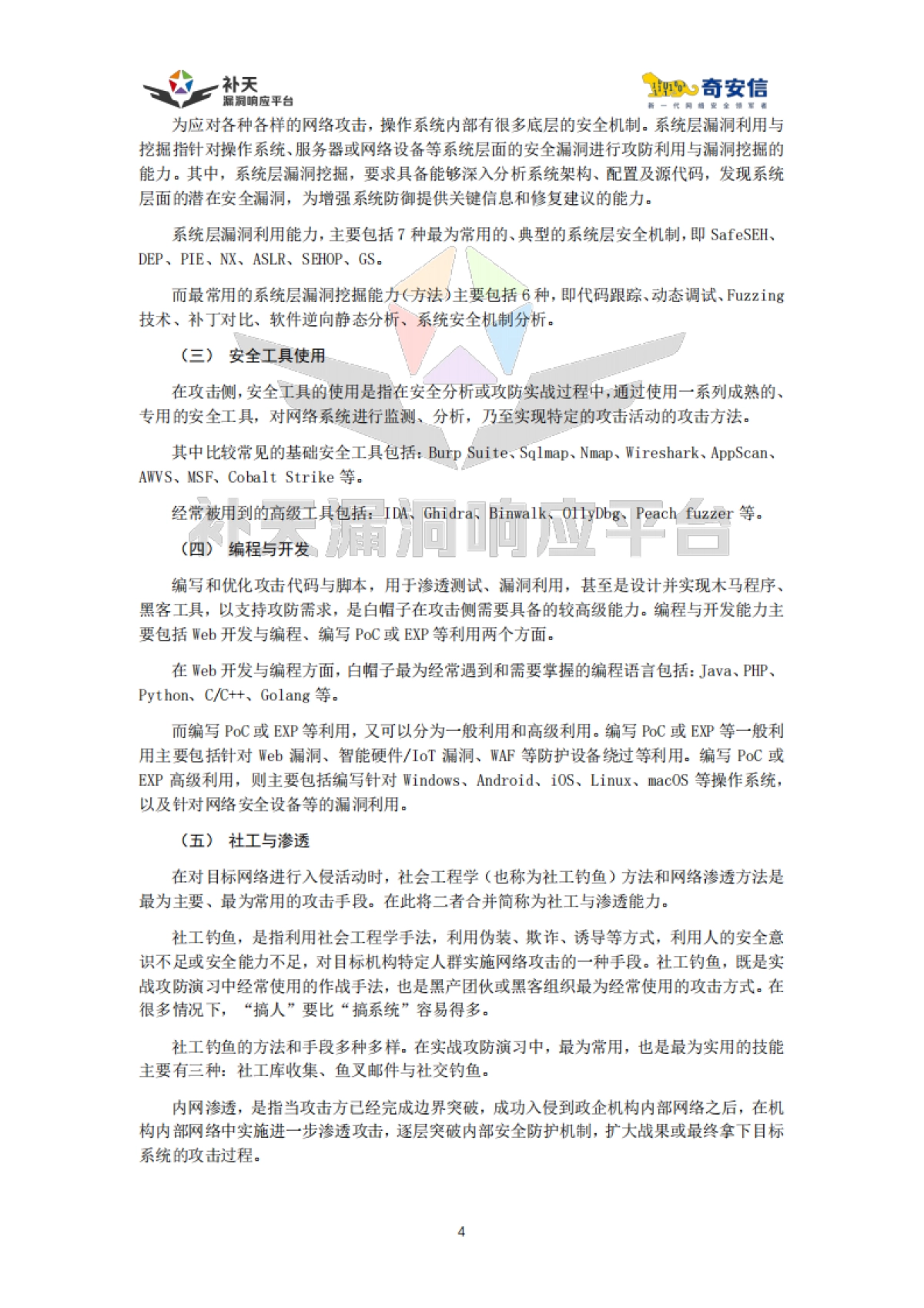 中国实战化白帽人才能力图谱(2025)-奇安信.pdf_第7页