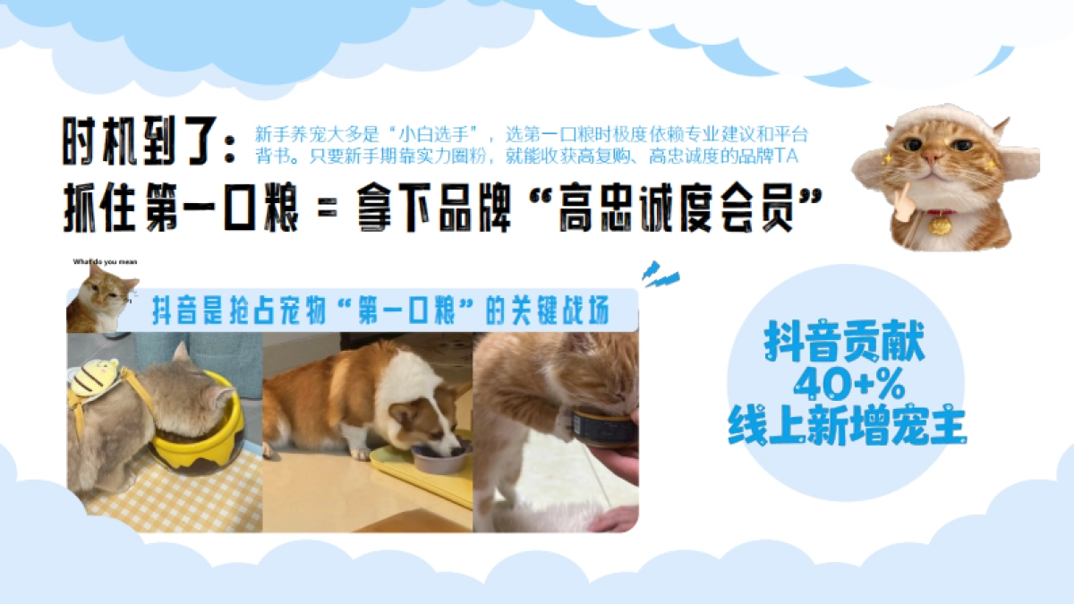 2026宠物行业IP《第一口粮》招商方案.pdf_第5页