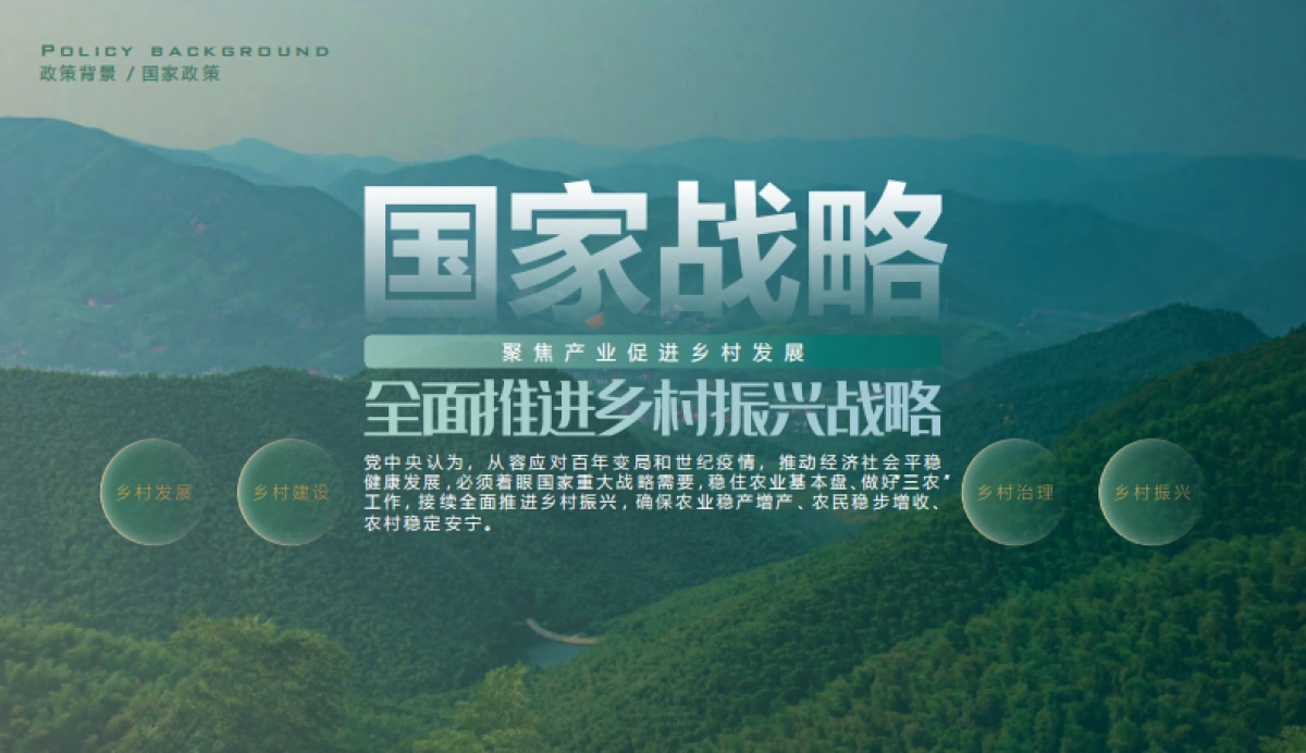 海兰村文旅乡村振兴产业升级共享田园总体规划方案.pdf_第6页