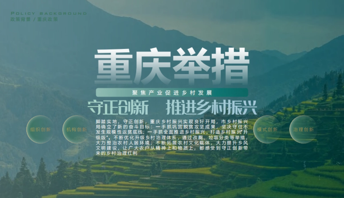 海兰村文旅乡村振兴产业升级共享田园总体规划方案.pdf_第7页