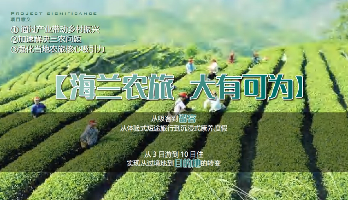 海兰村文旅乡村振兴产业升级共享田园总体规划方案.pdf_第9页