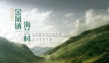 海兰村文旅乡村振兴产业升级共享田园总体规划方案.pdf