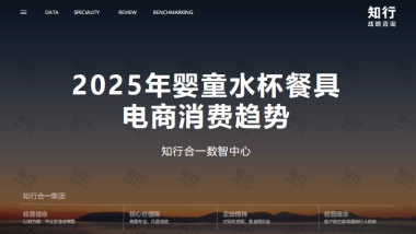 2025年婴童水杯餐具电商消费趋势-知行咨询.pdf