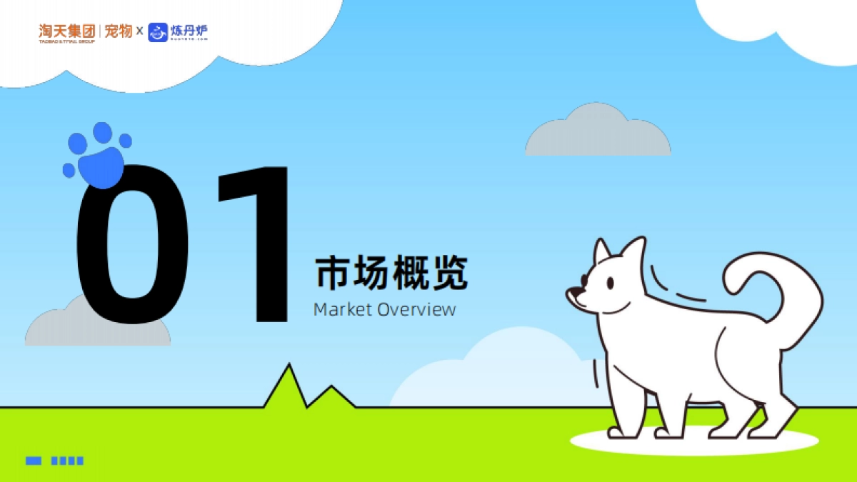 2025年宠物行业新品趋势报告-炼丹炉.pdf_第3页