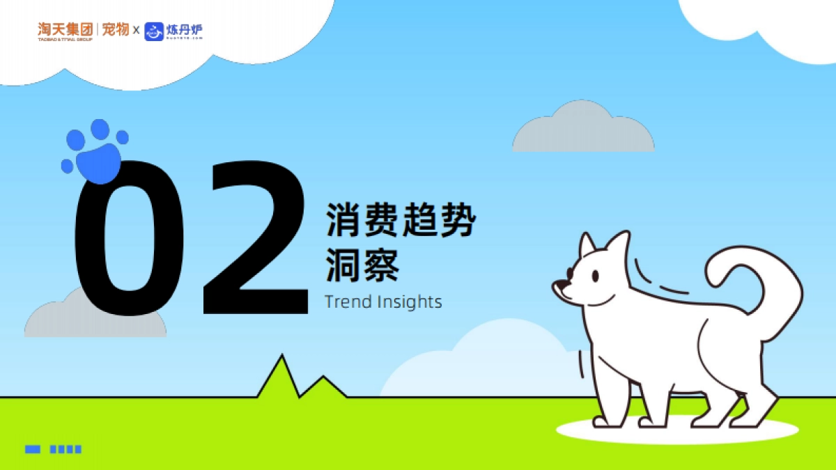 2025年宠物行业新品趋势报告-炼丹炉.pdf_第7页