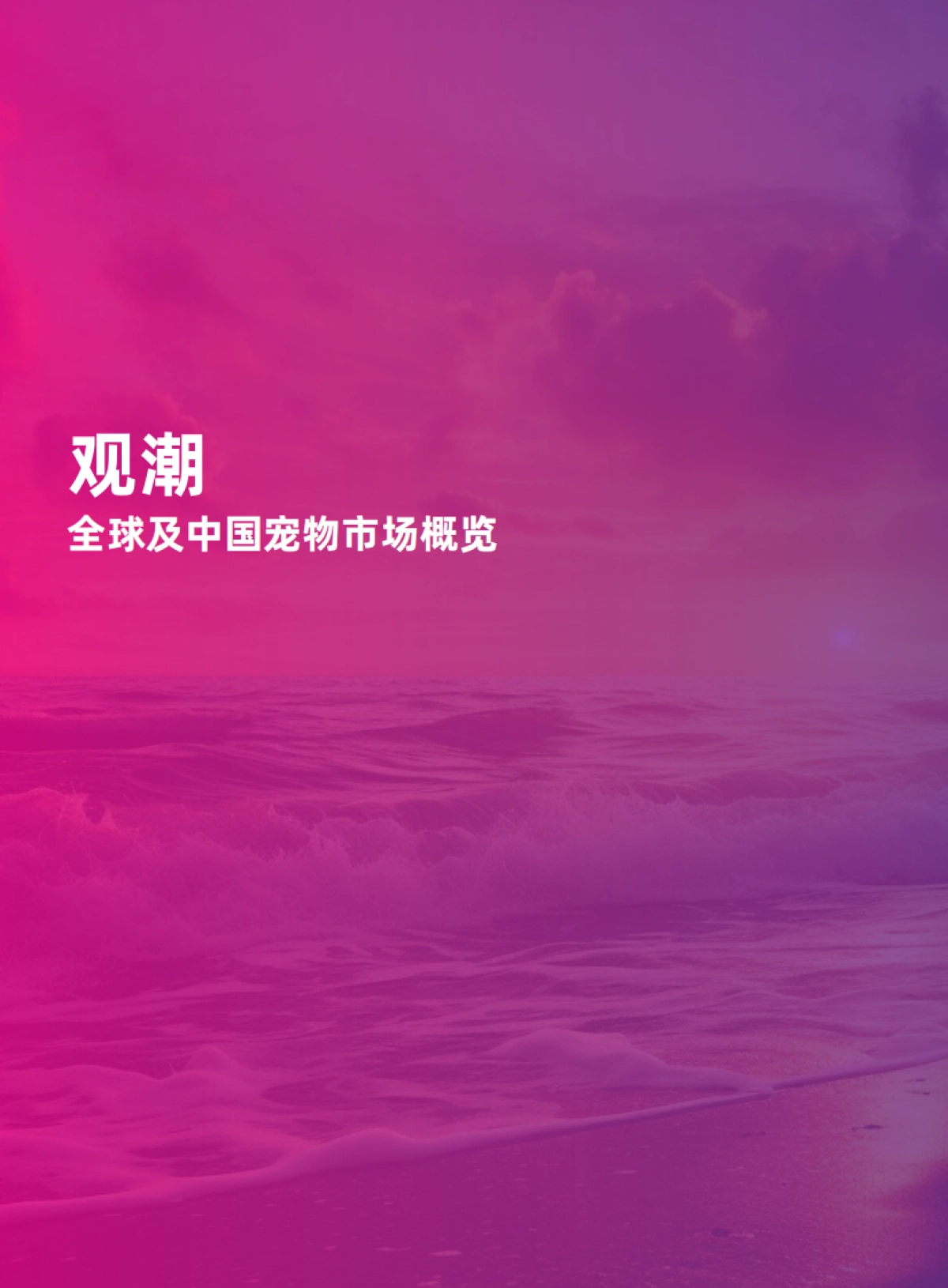 2025中国宠物行业出海蓝皮书-apa亚宠会 x 欧睿国际.pdf_第2页