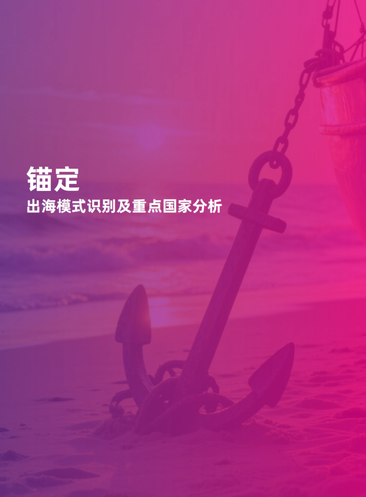 2025中国宠物行业出海蓝皮书-apa亚宠会 x 欧睿国际.pdf_第7页