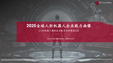 2025全球人形机器人企业能力画像整机能力评估模型V2.0-M2具身智能研究院.pdf