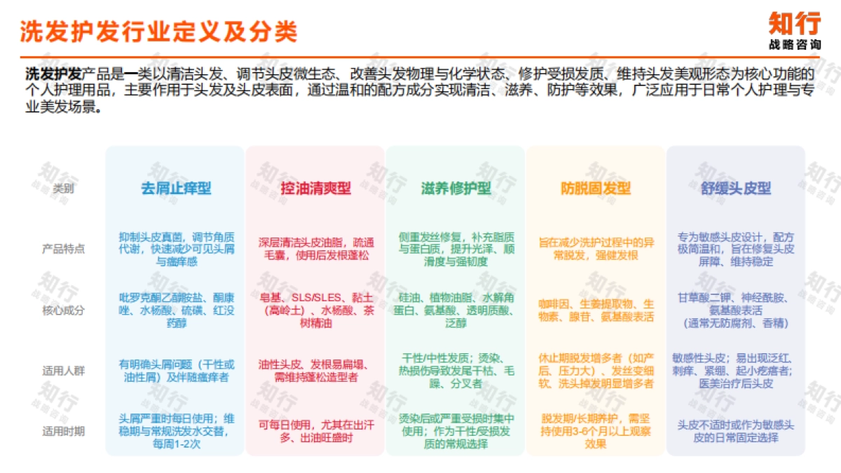 2025知行数据观察：洗发护发品类-知行.pdf_第4页