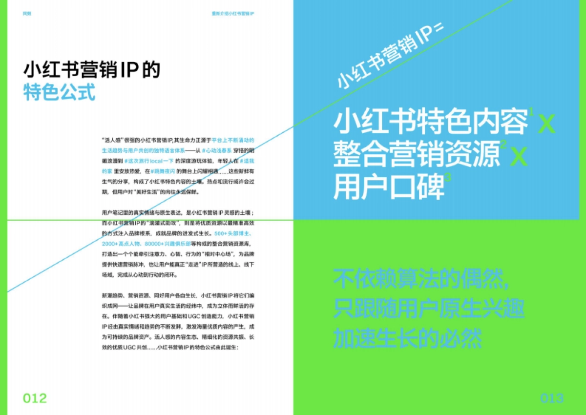 2026小红书营销IP特刊《同频》-小红书.pdf_第7页
