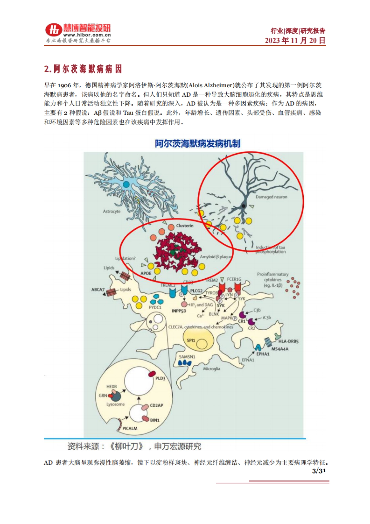 2023阿尔茨海默病行业深度：治疗现状、竞争格局、市场空间及相关公司深度梳理-慧博.pdf_第3页