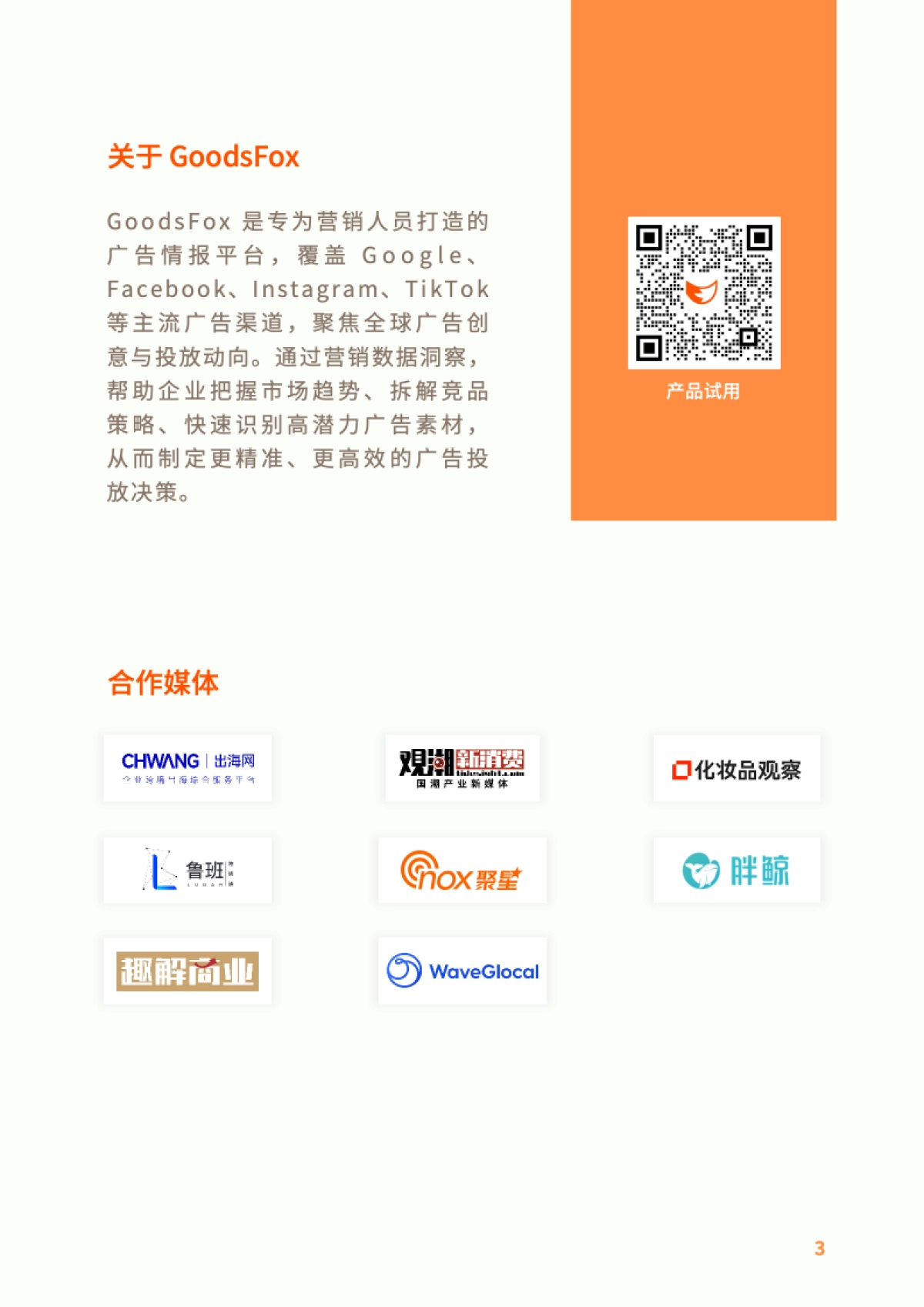 2026年全球DTC独立站营销洞察报告-Goodsfox.pdf_第3页