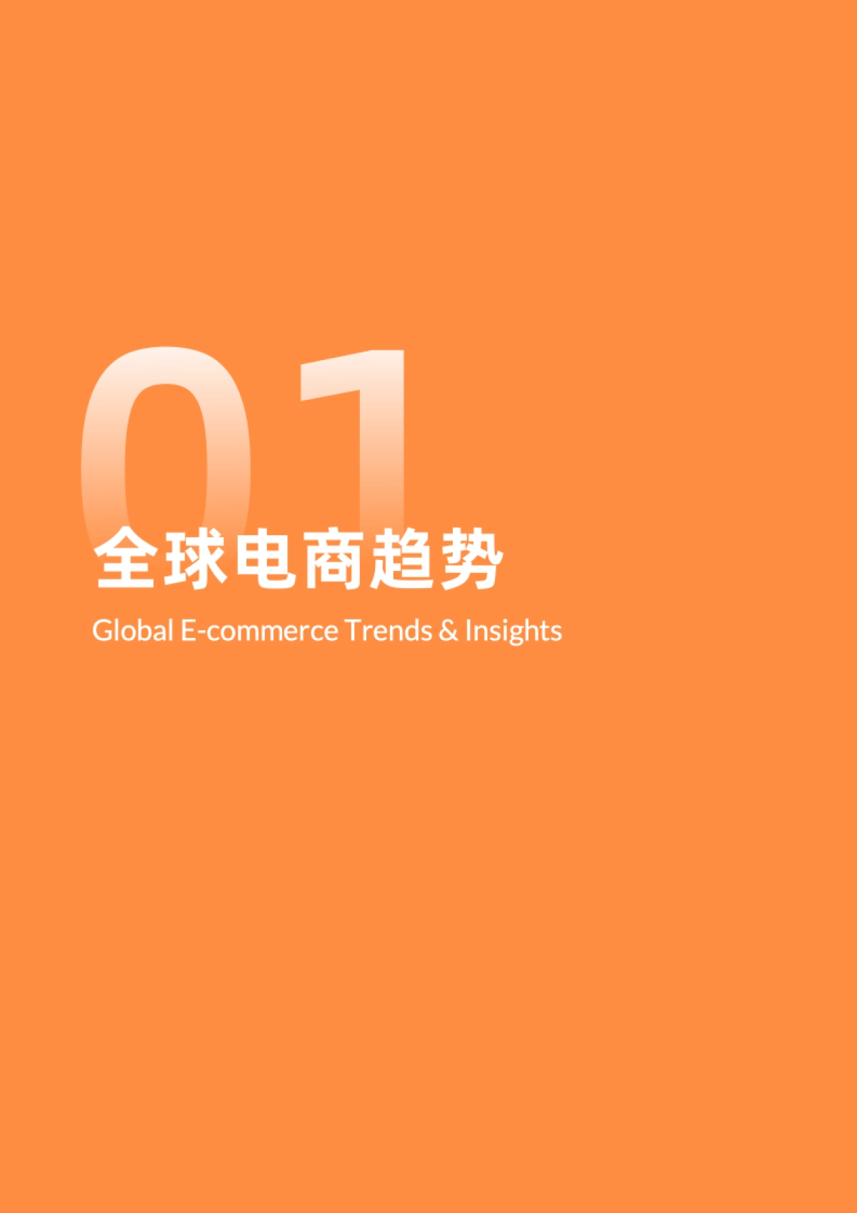 2026年全球DTC独立站营销洞察报告-Goodsfox.pdf_第4页