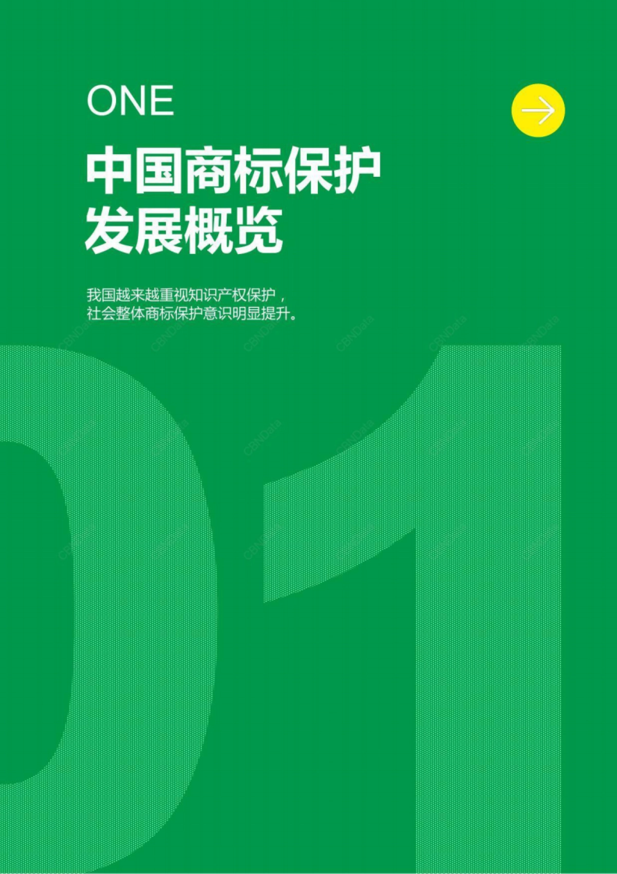 CBNData&乐高：2022年中国消费者商标保护态度洞察白皮书.pdf_第4页