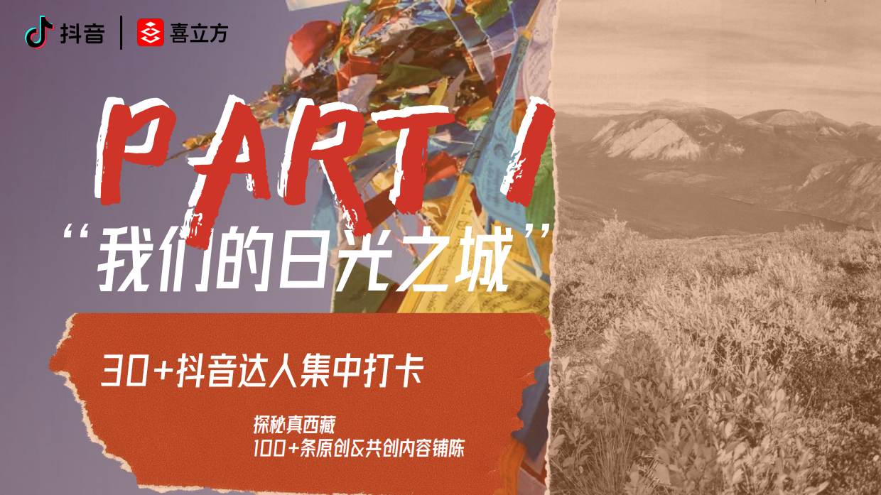 拉萨艺术节招商通案.pdf_第5页