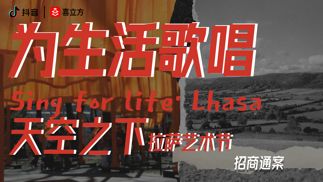 拉萨艺术节招商通案.pdf