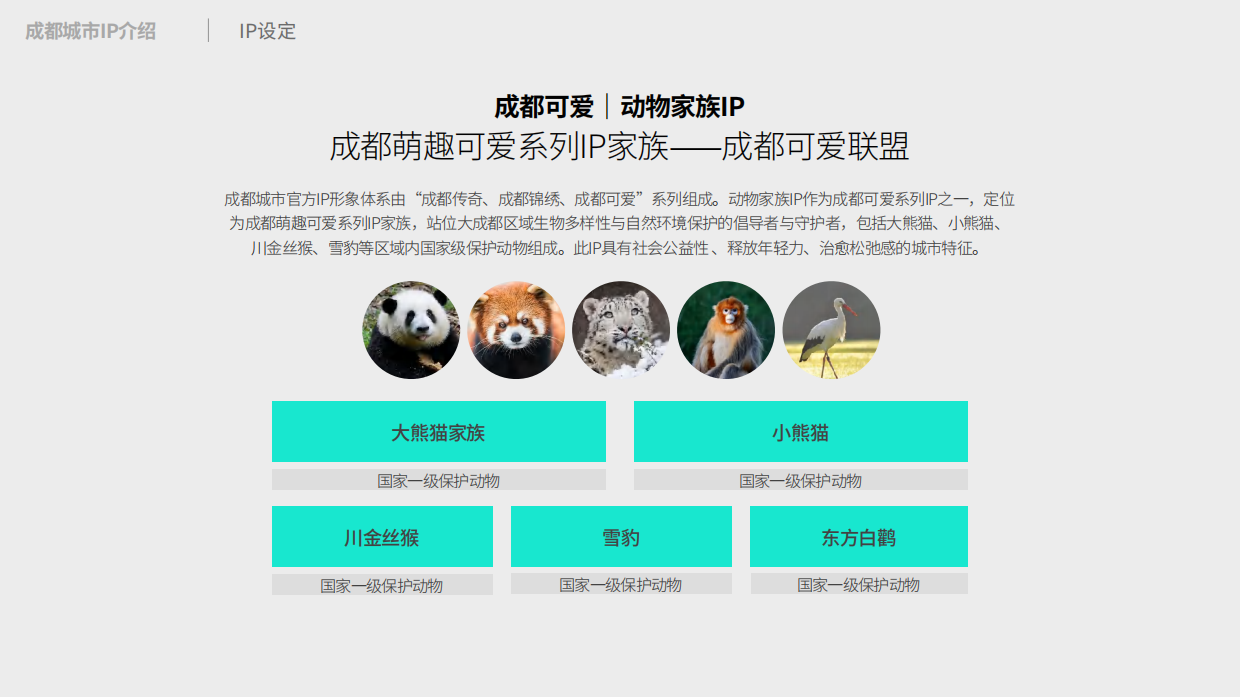 2024成都文旅IP授权合作方案.pdf_第6页