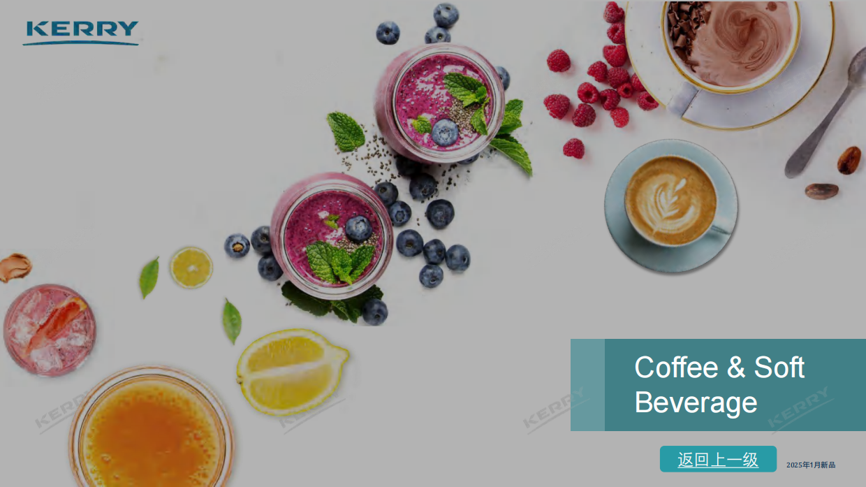 2025年餐饮新品情报合集-凯爱瑞.pdf_第8页