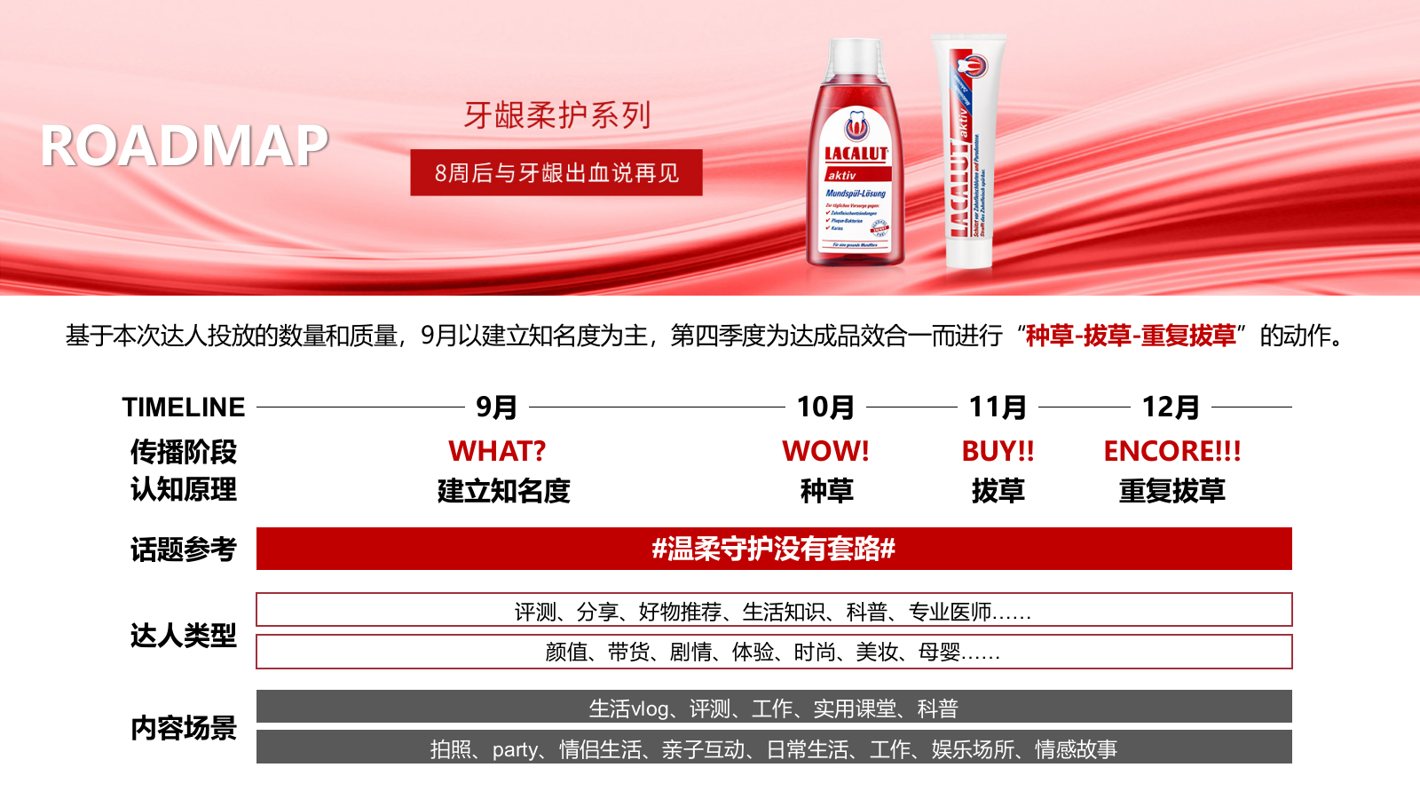 快消零售牙膏品牌抖音达人投放策划方案.pptx_第10页