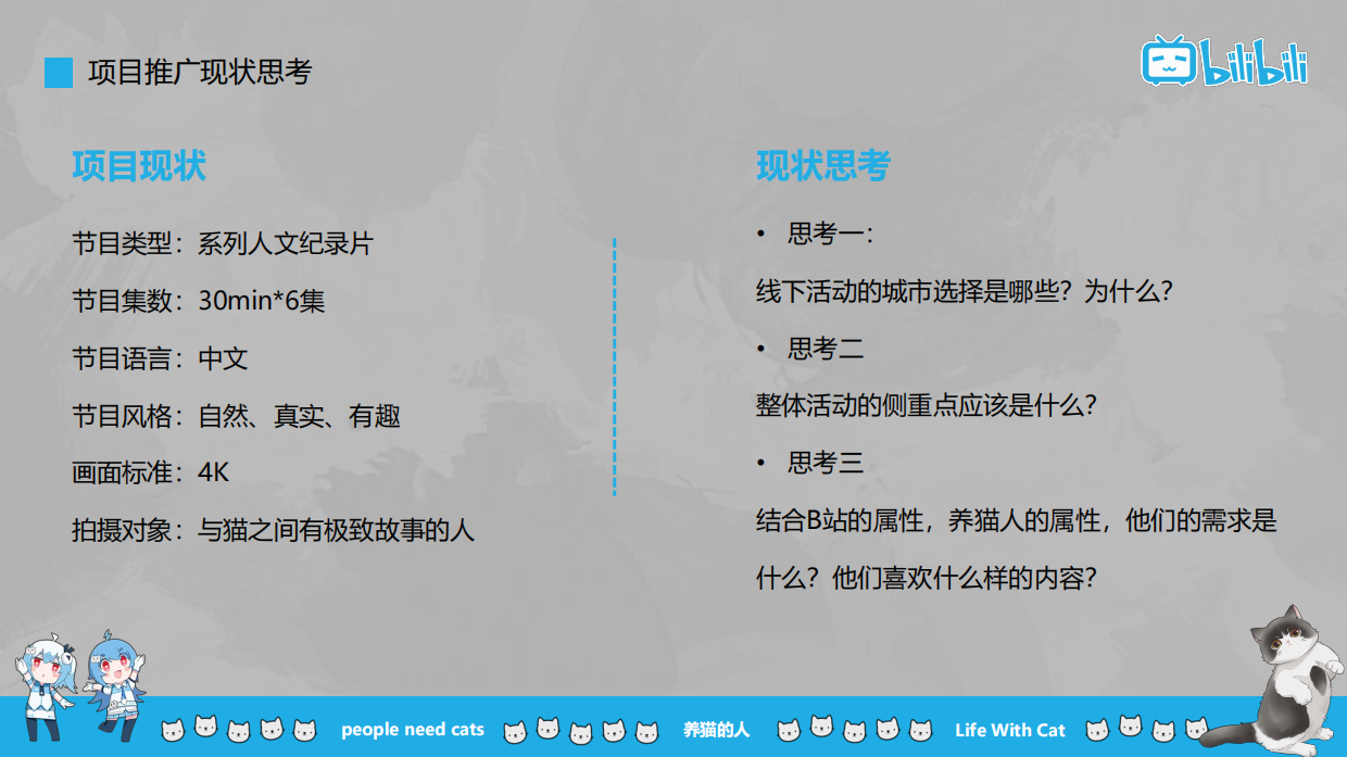 2024B站《养猫的人》线下活动方案.pdf_第5页