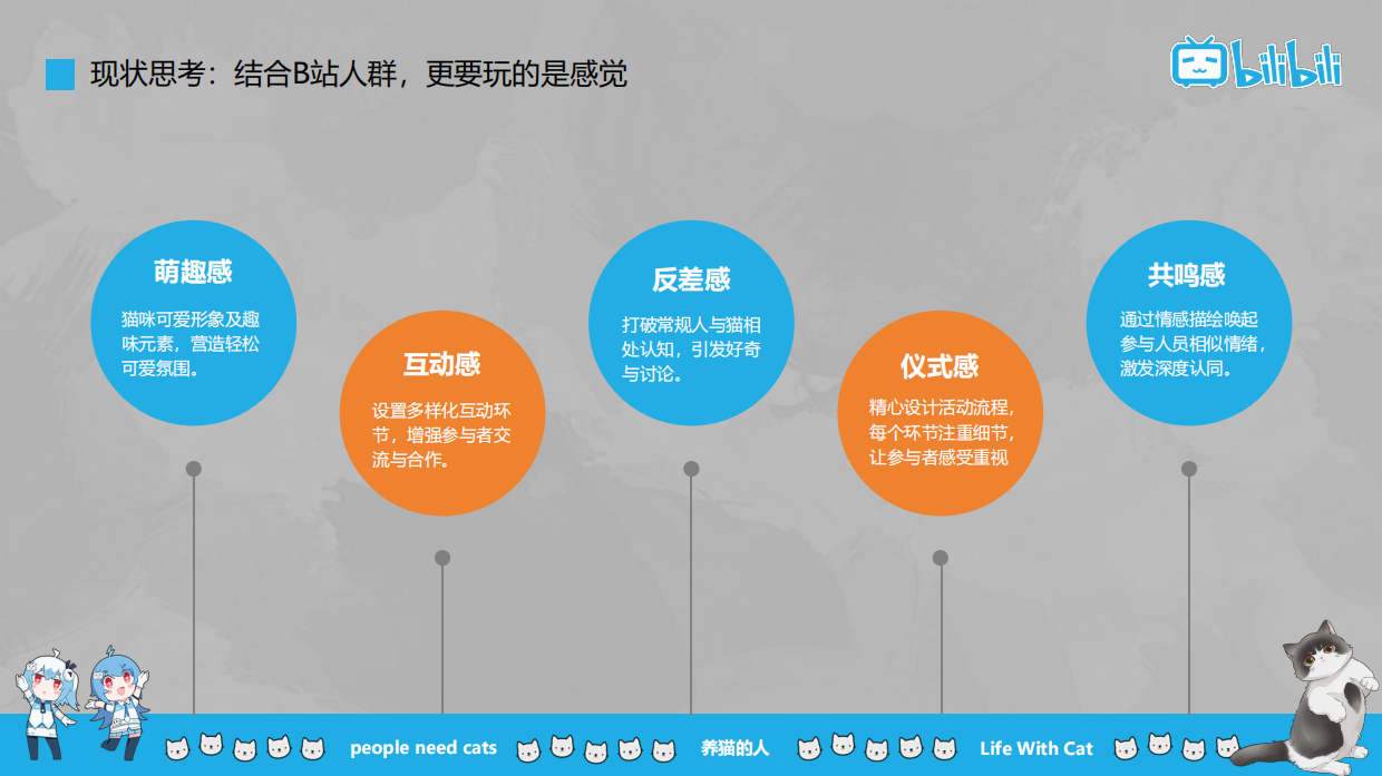 2024B站《养猫的人》线下活动方案.pdf_第8页