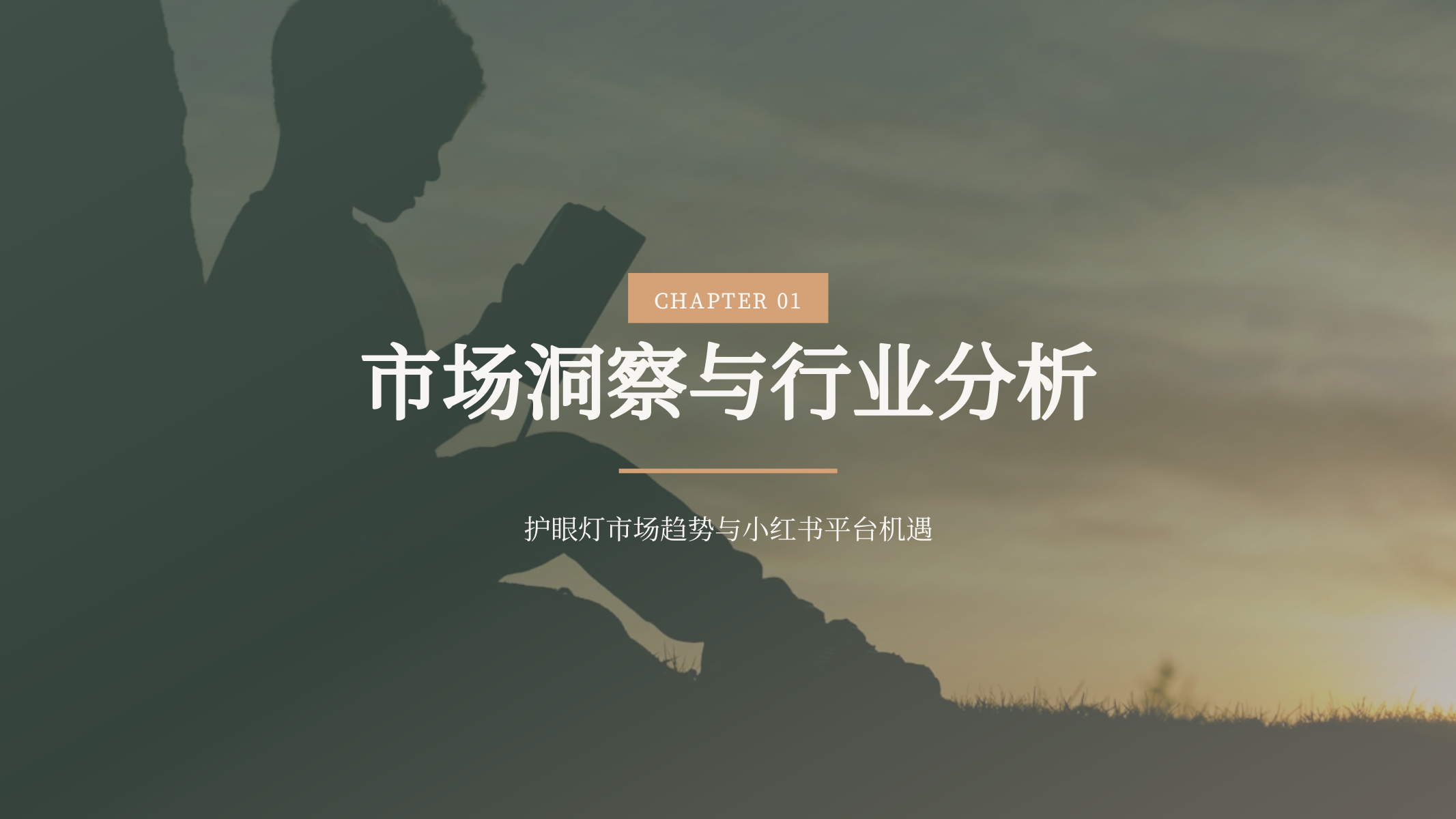 好视力护眼灯小红书内容营销方案.pptx_第3页