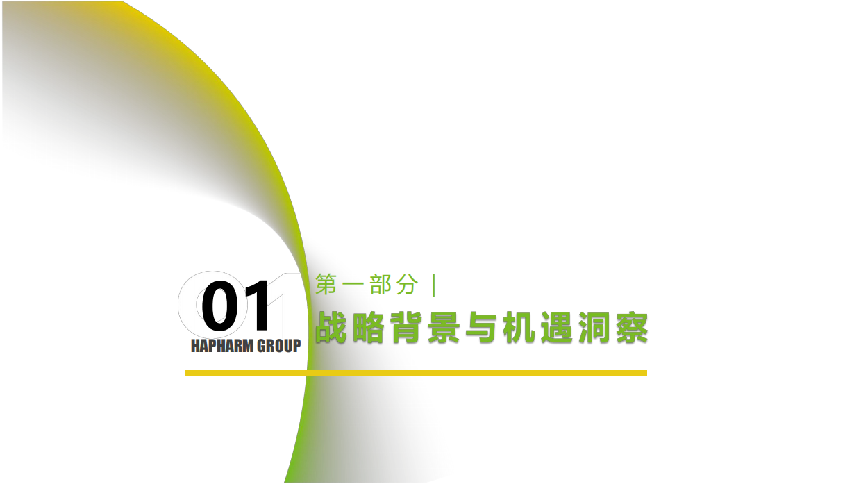 医药品牌年度品牌传播规划方案.pdf_第2页