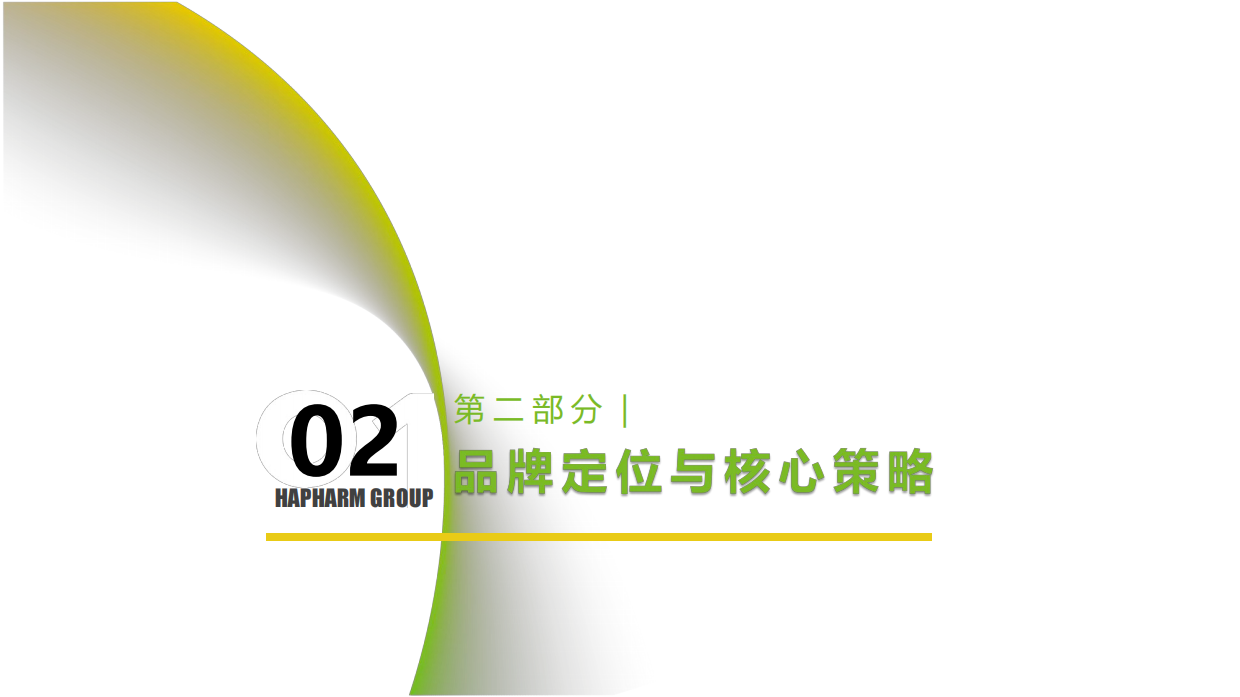 医药品牌年度品牌传播规划方案.pdf_第6页