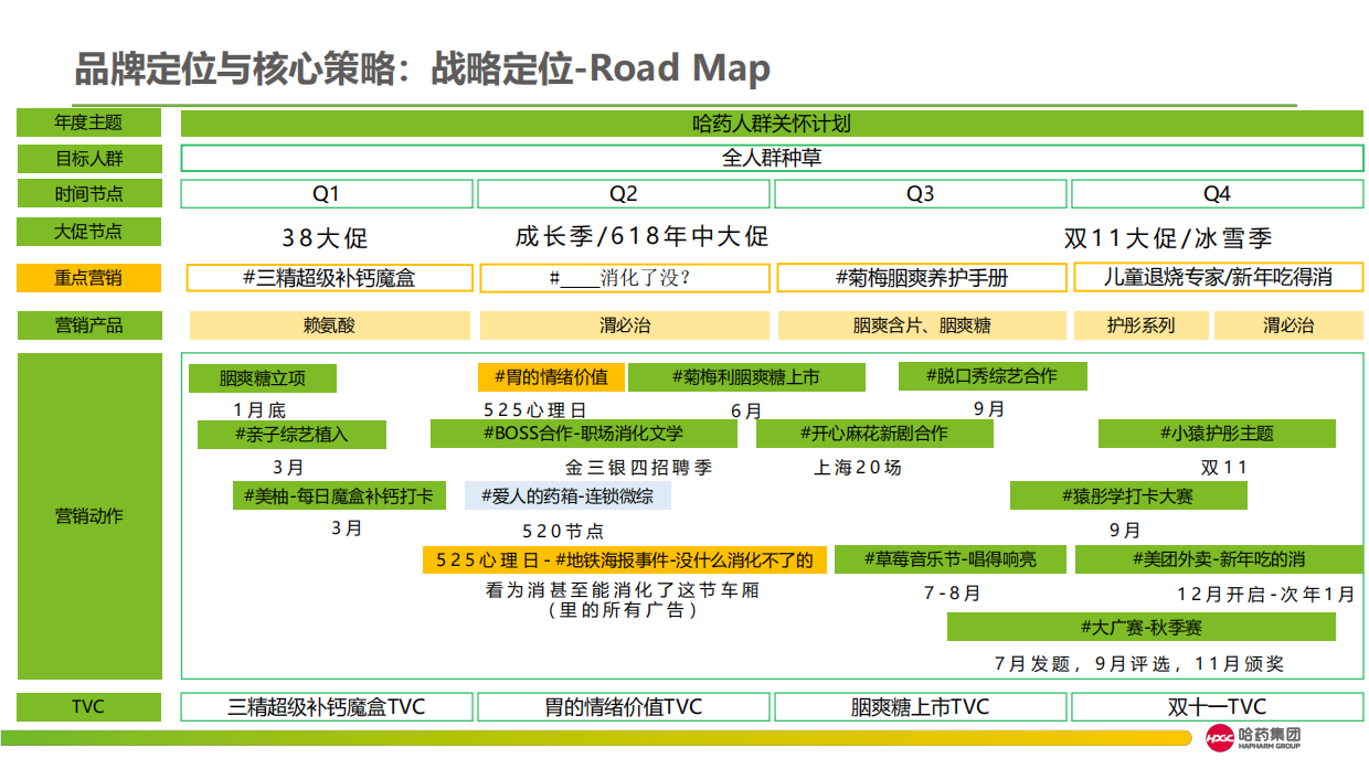 医药品牌年度品牌传播规划方案.pdf_第8页